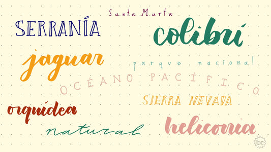 Cuadernos con hojas de puntos: escribe, crea y organiza