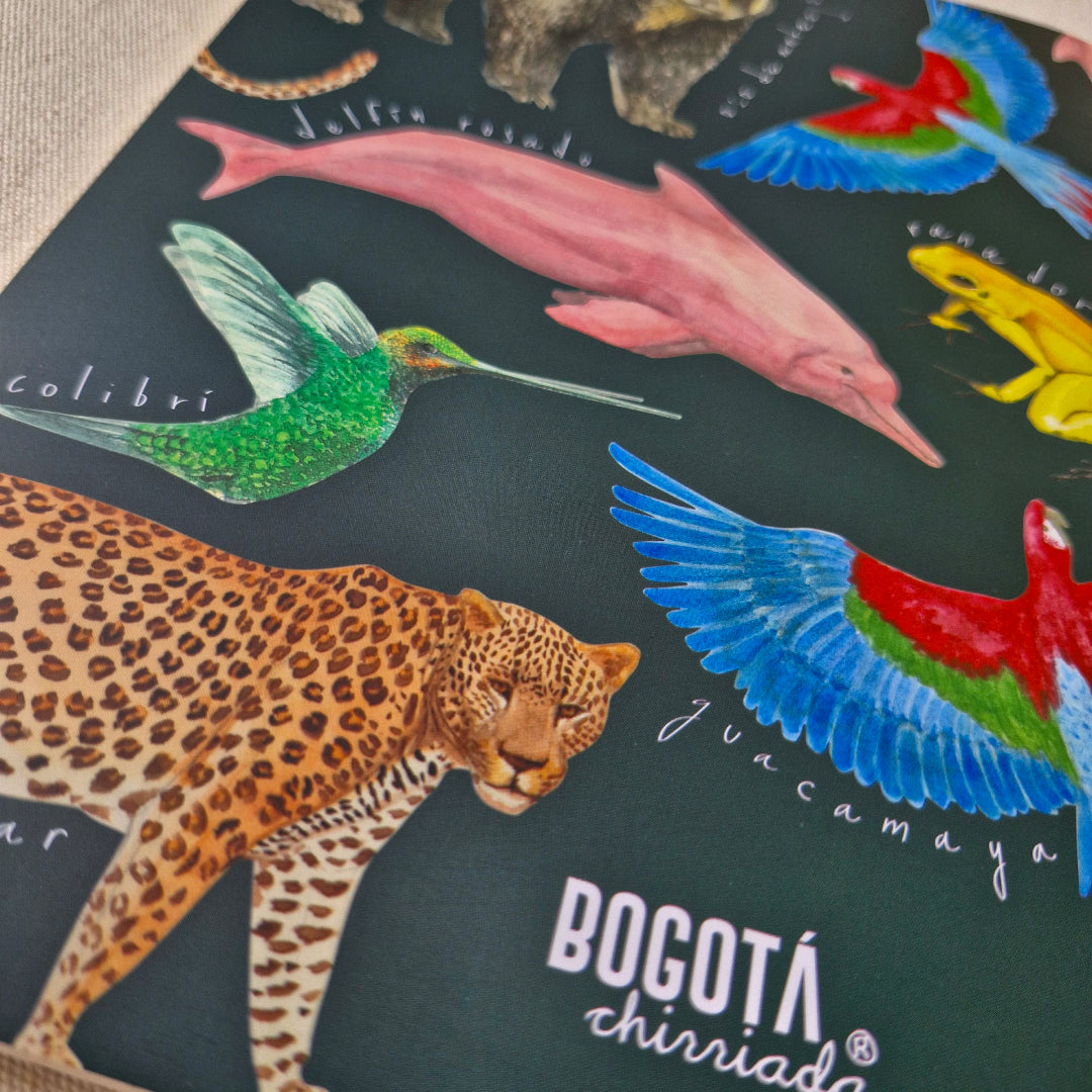 Cuaderno mediano de Fauna de Colombia
