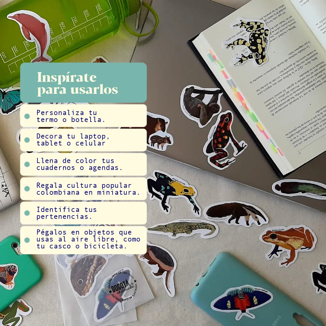 Sticker Gallito de Roca Andino