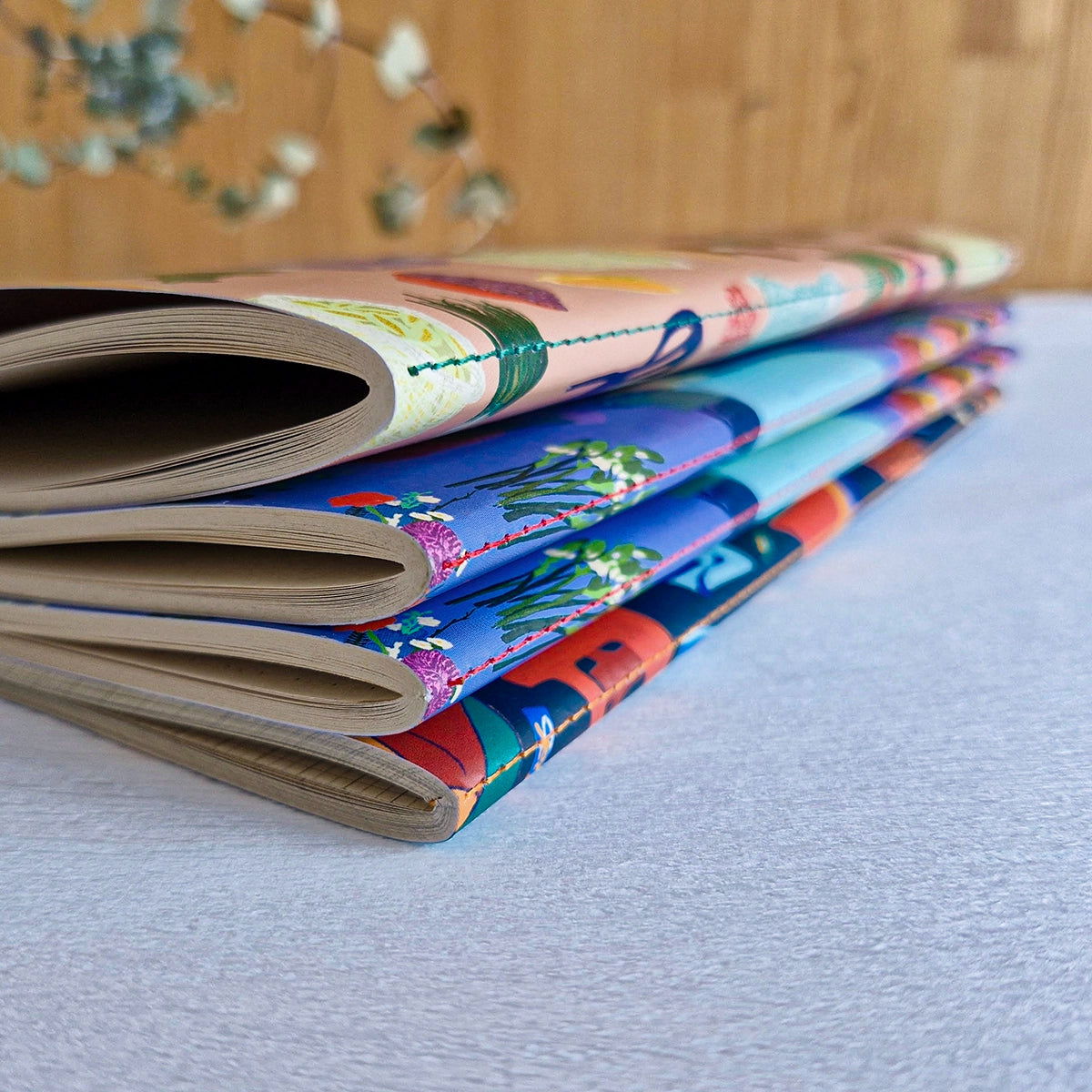 Detalle de los cuadernos grandes ilustrados