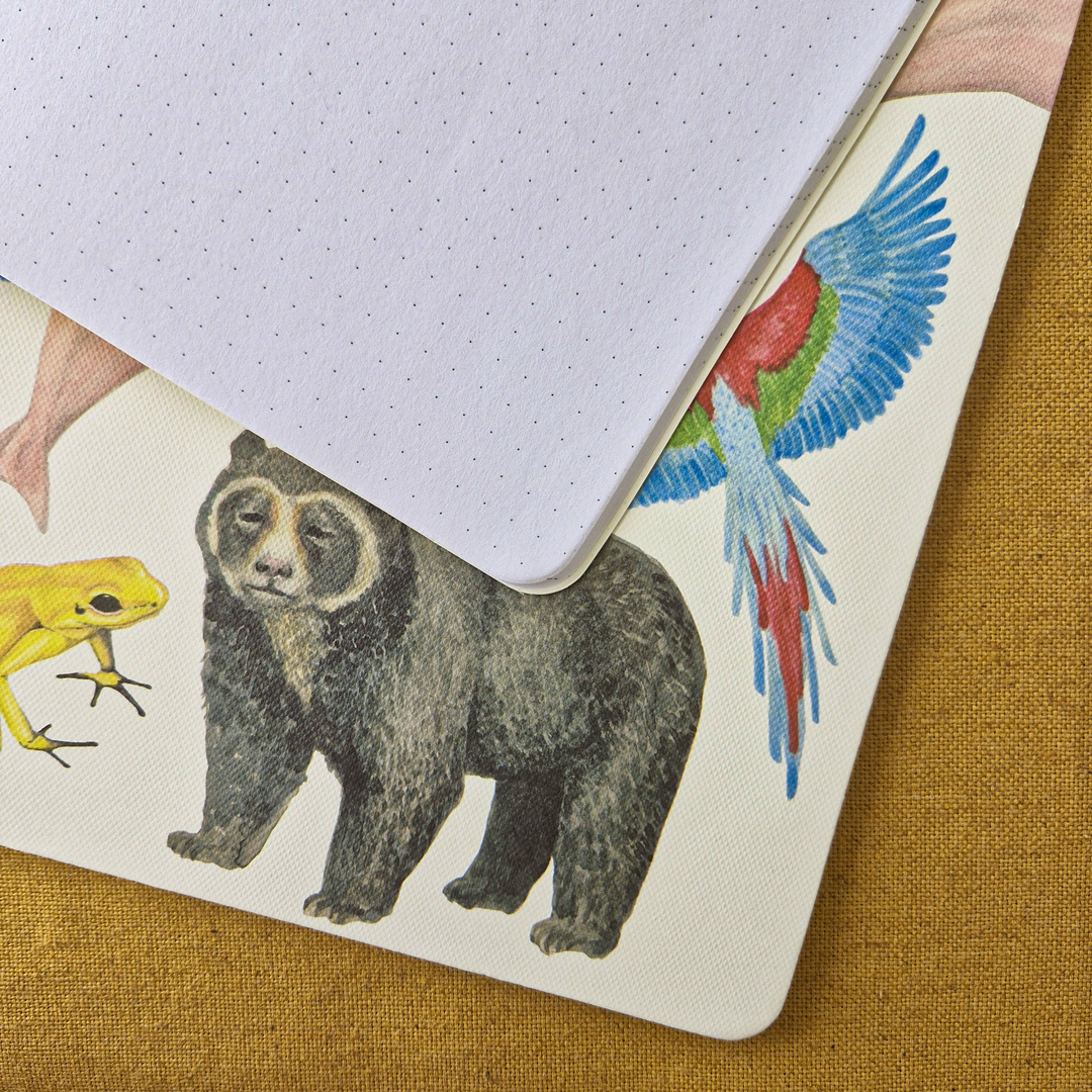 DR4-Cuadernos-5