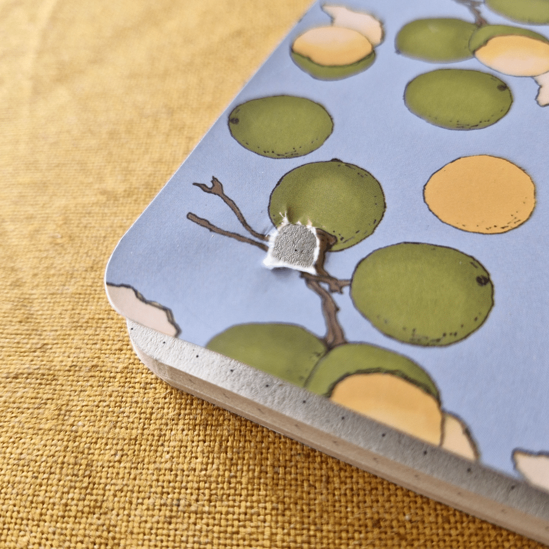 DR5-Libretas-6