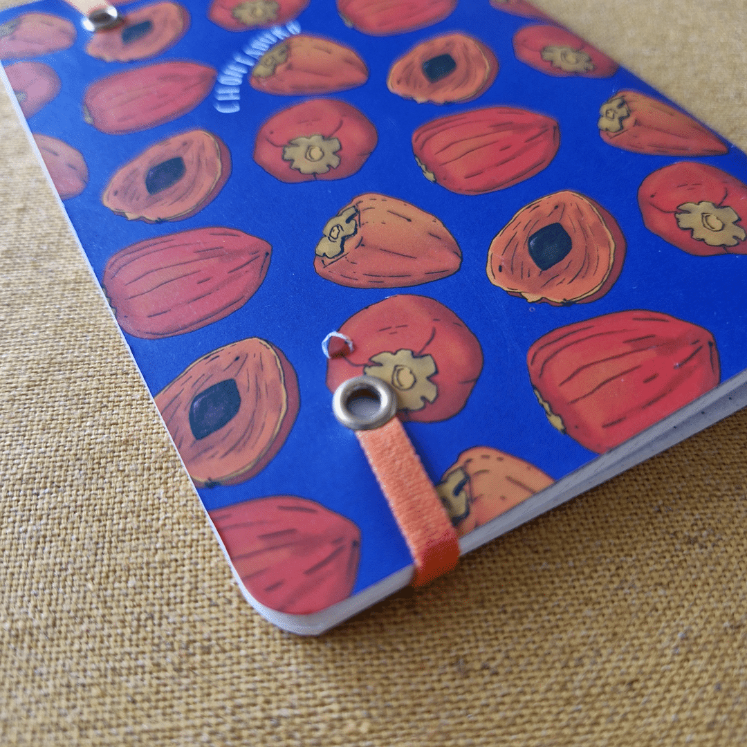 DR5-Libretas-7
