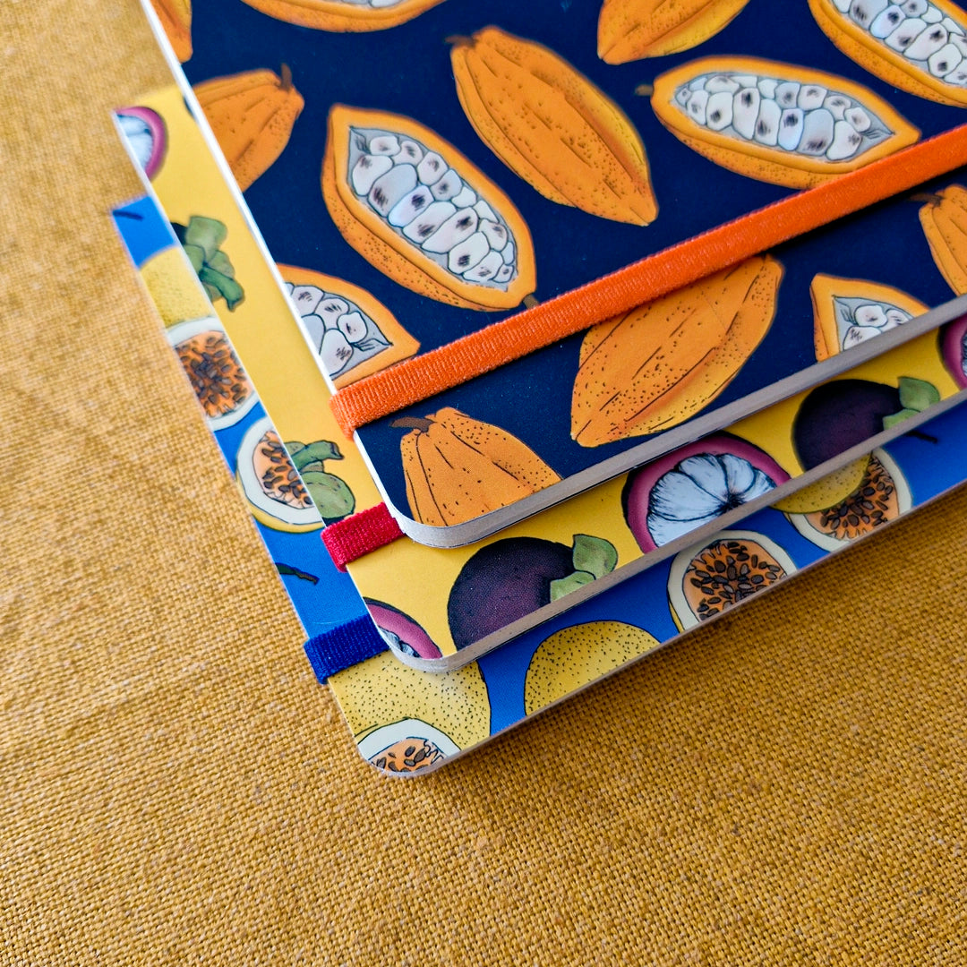 3 Libretas de frutas ilustradas