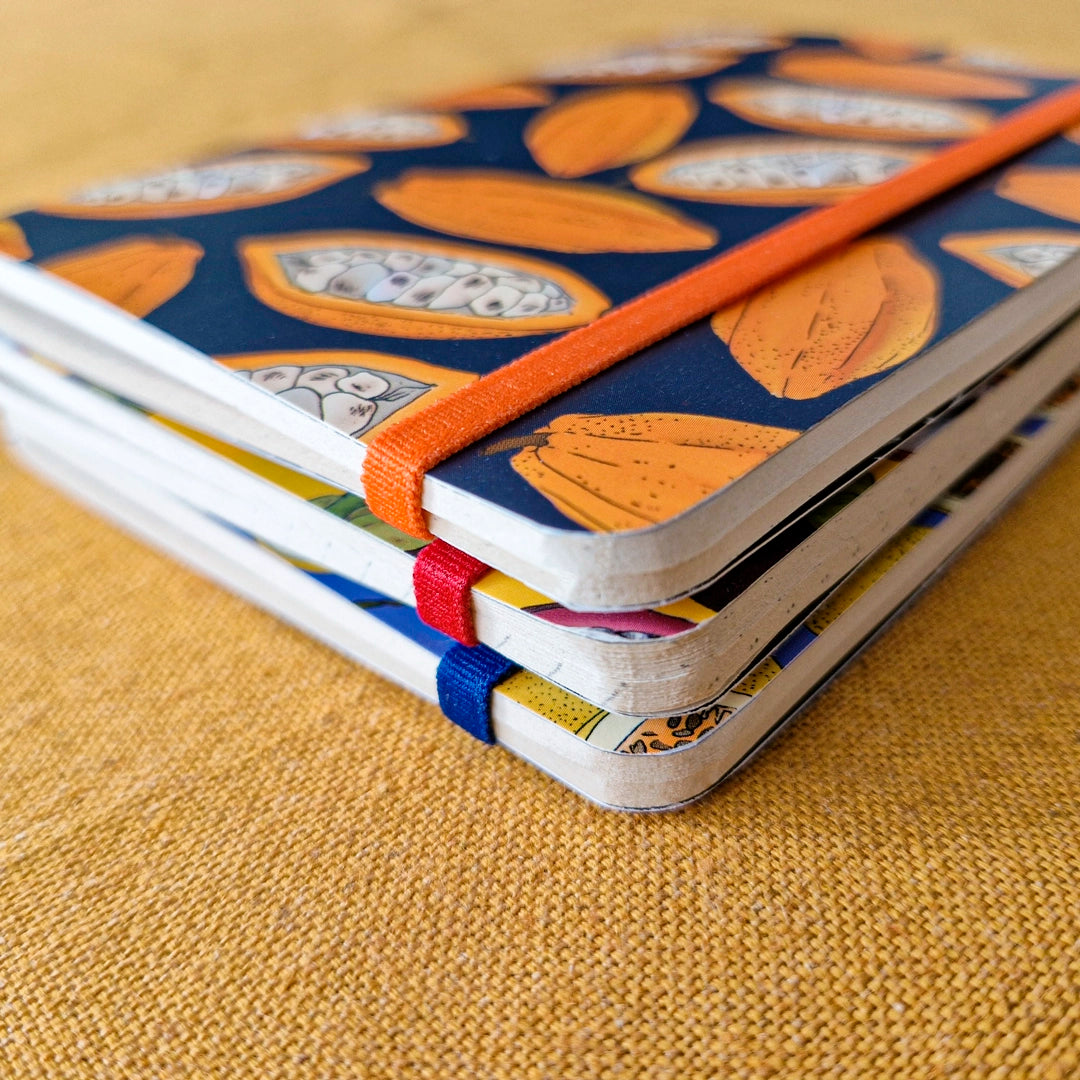 3 Libretas de frutas ilustradas