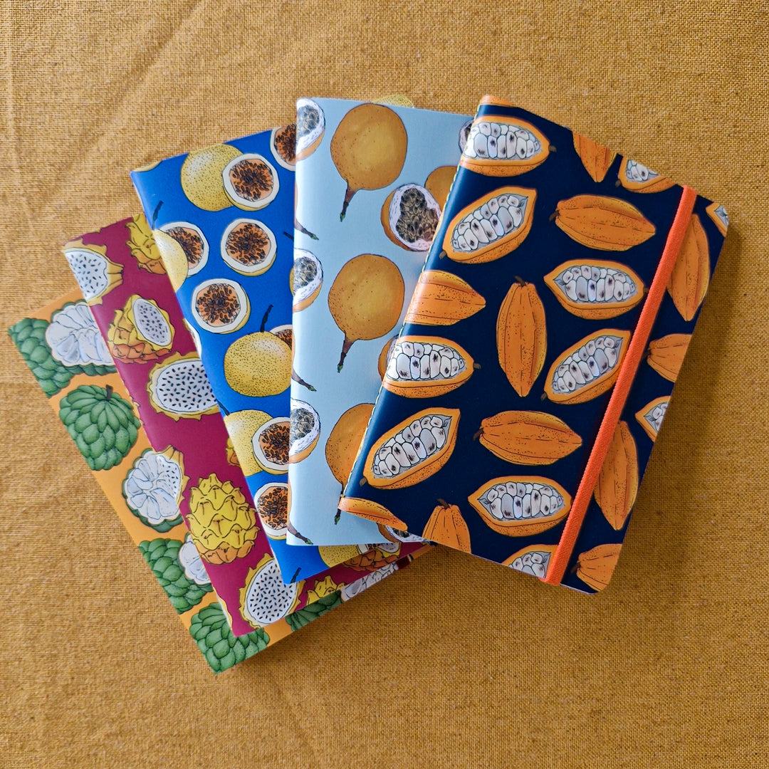 5 Libretas de frutas ilustradas