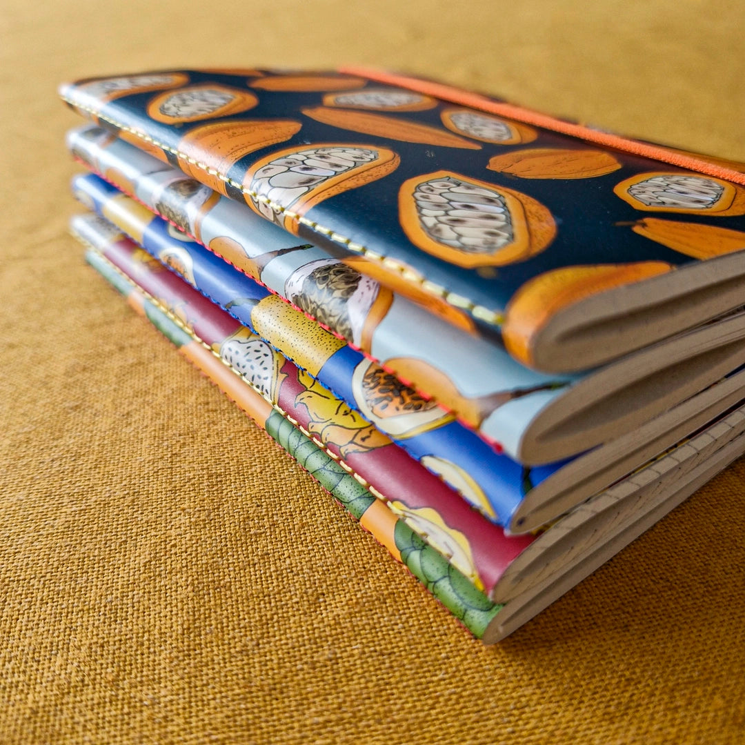 5 Libretas de frutas ilustradas