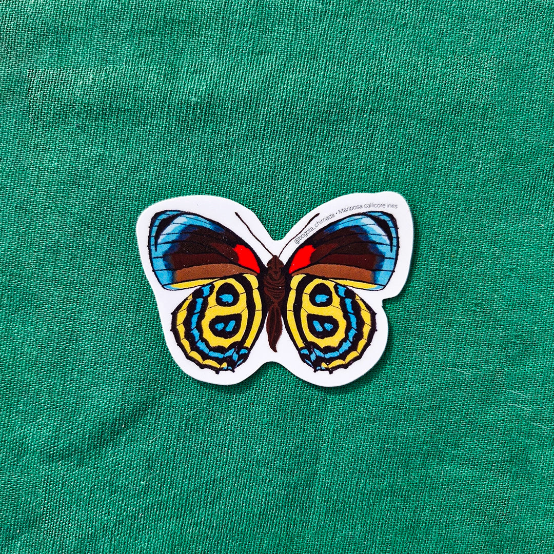 Paquete de Stickers de Mariposas