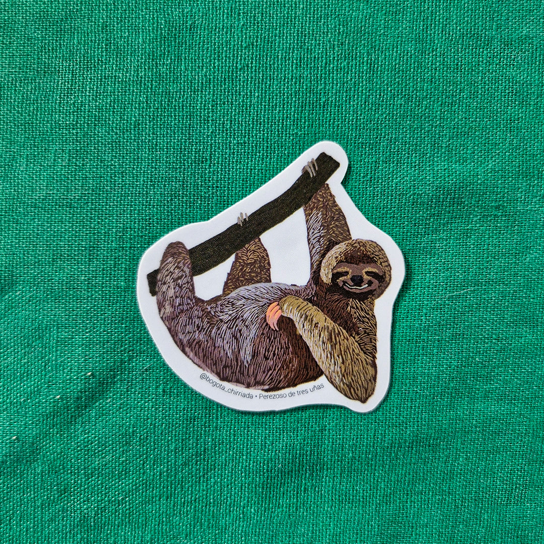 Sticker Oso perezoso
