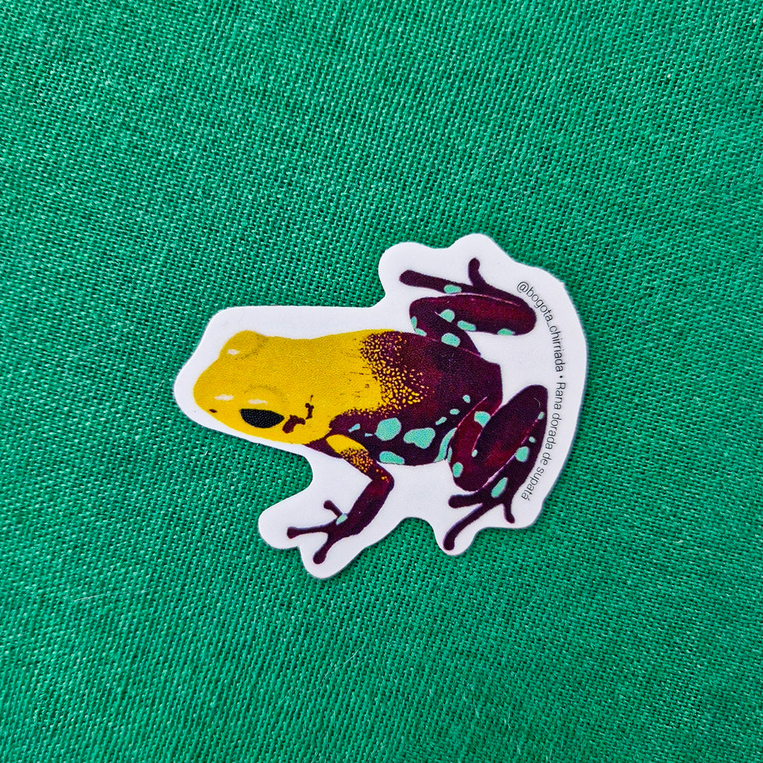 Paquete de Stickers de Ranas