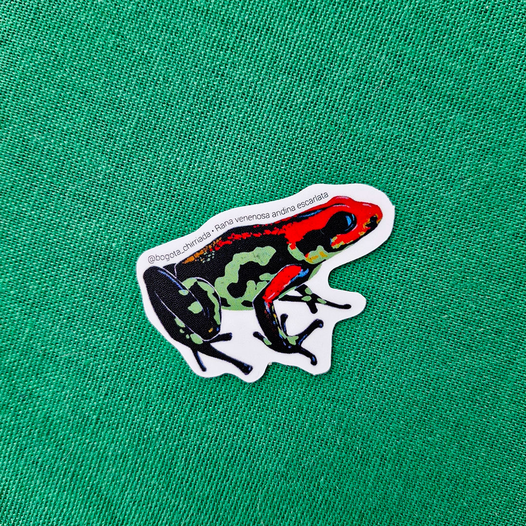 Paquete de Stickers de Ranas