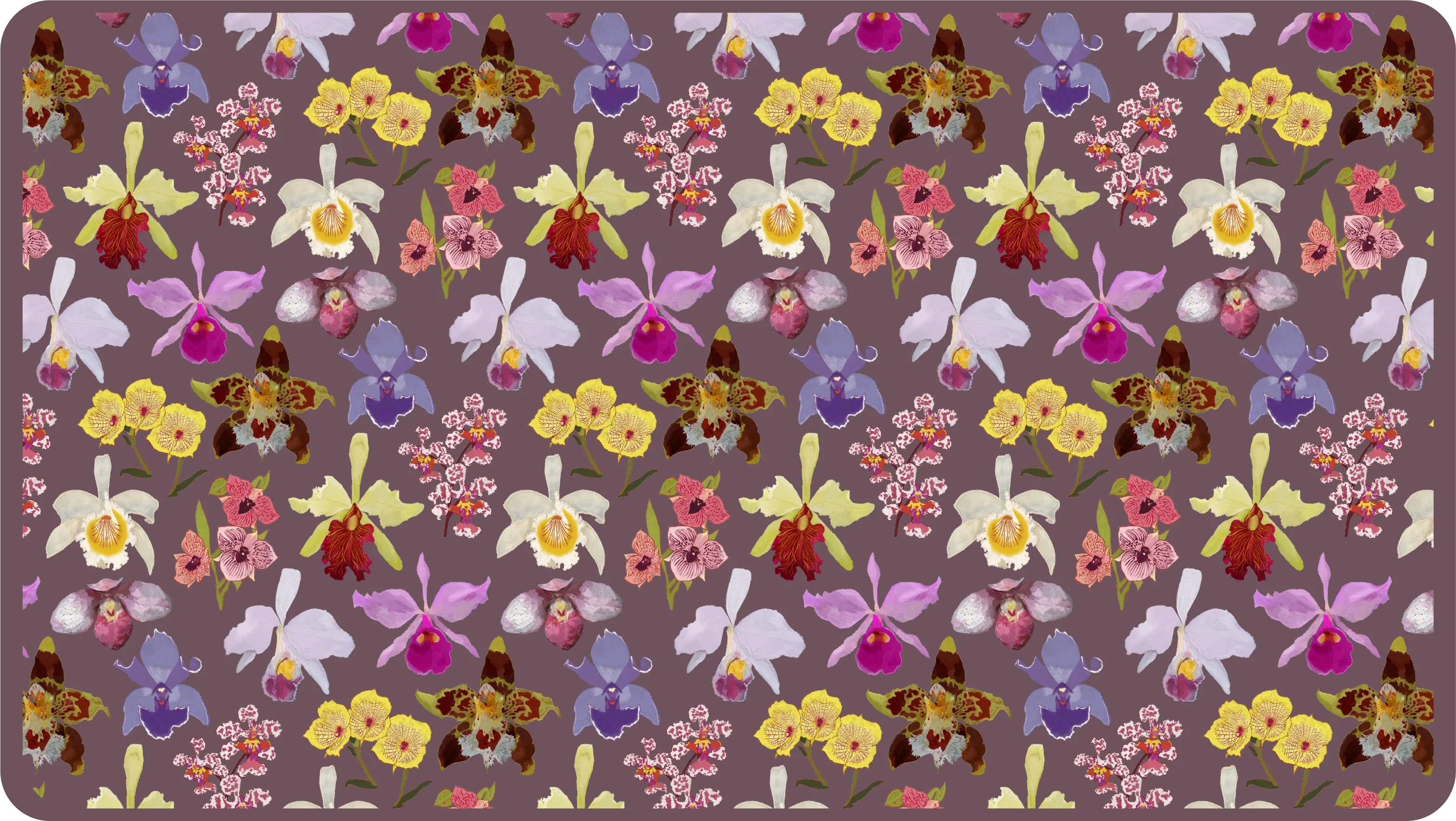 Orquídeas de Colombia