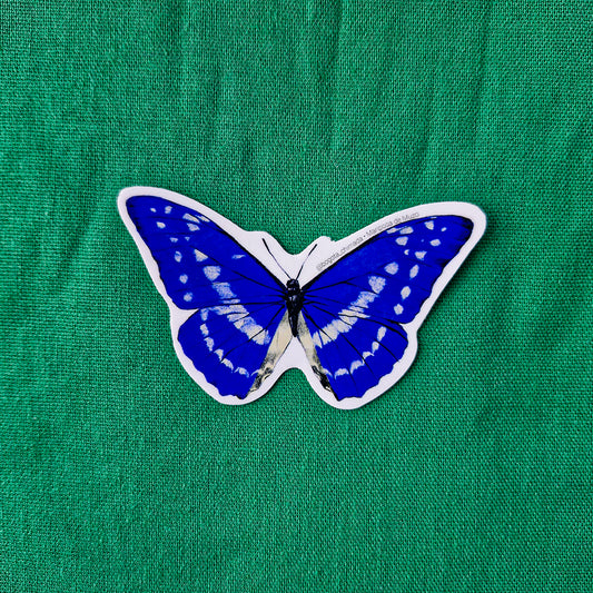 Sticker Mariposa de Muzo