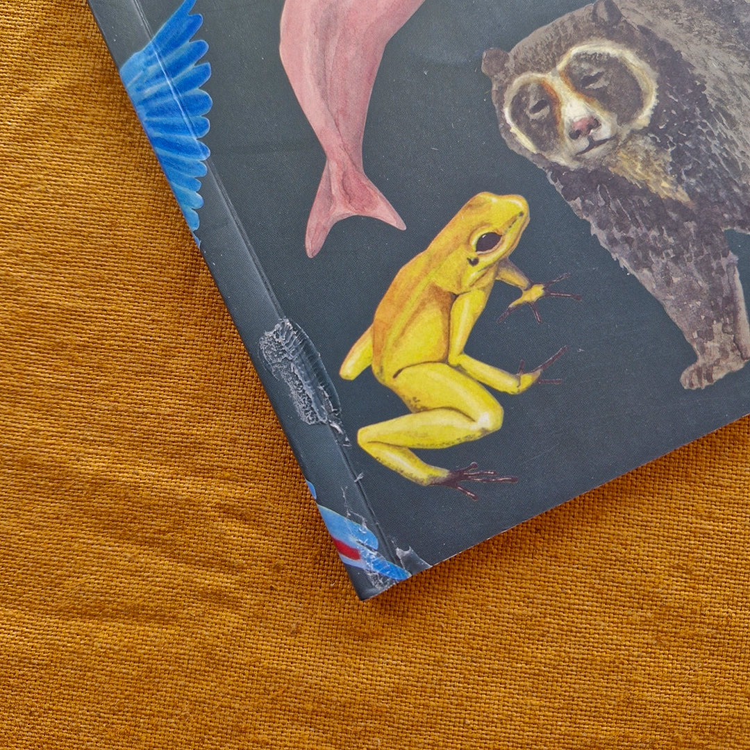Cuaderno Fauna/Flora con Defectos