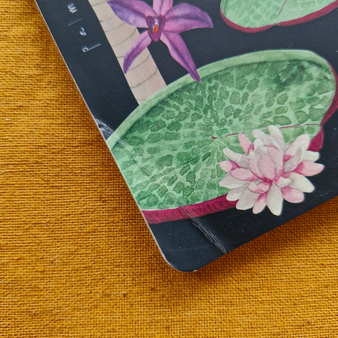 Cuaderno Fauna/Flora con Defectos