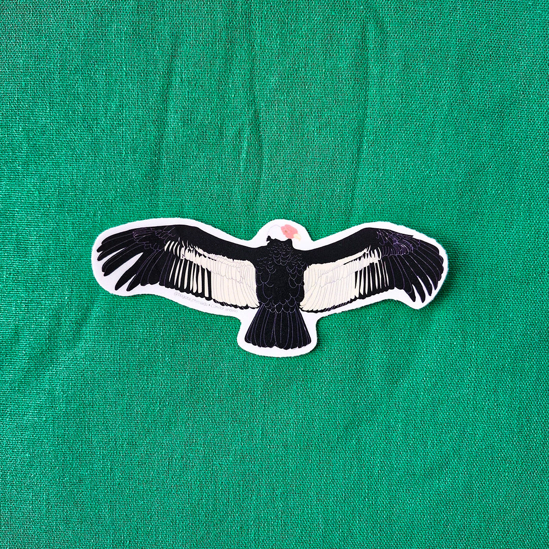 Sticker Cóndor de los Andes