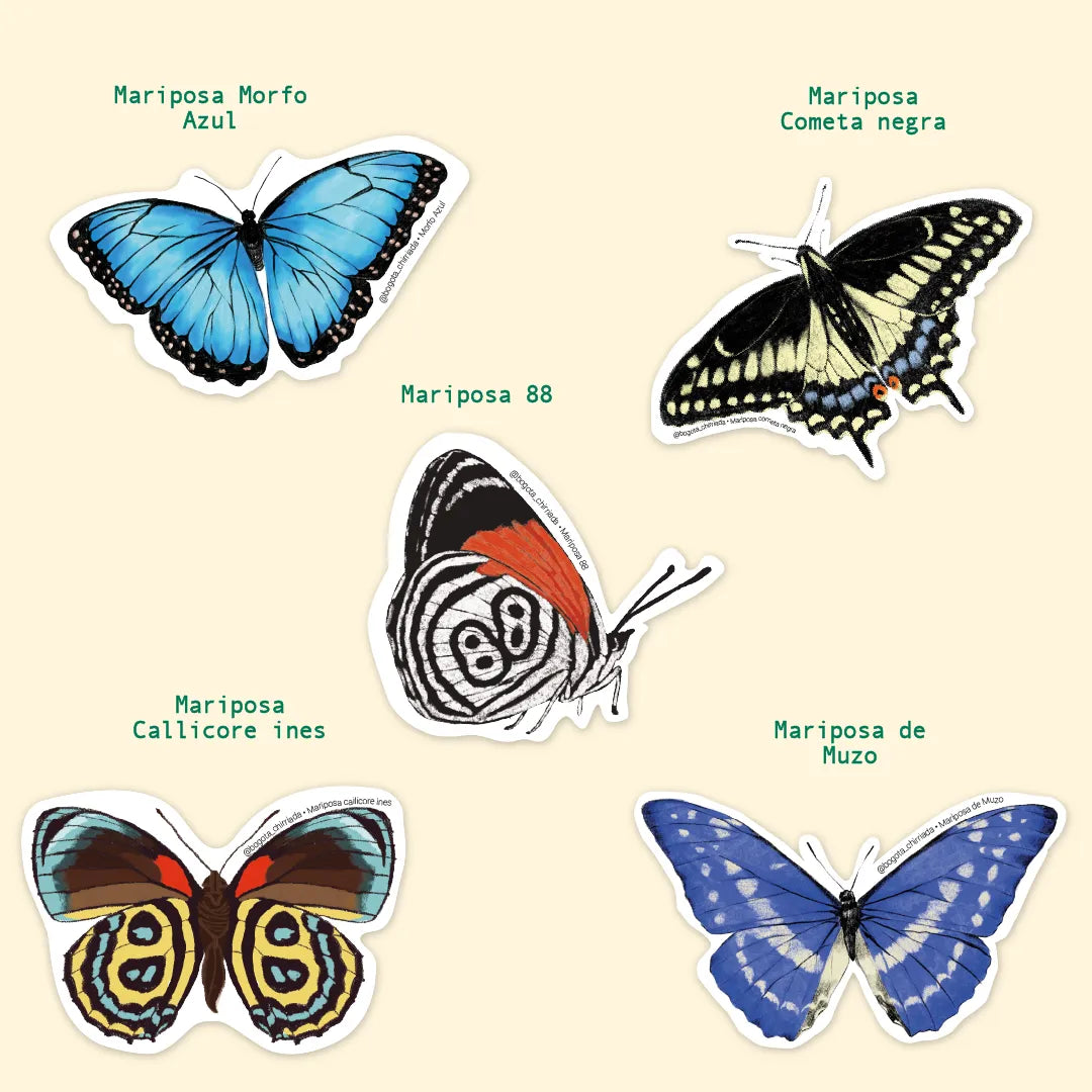 Combo de Cinco Stickers