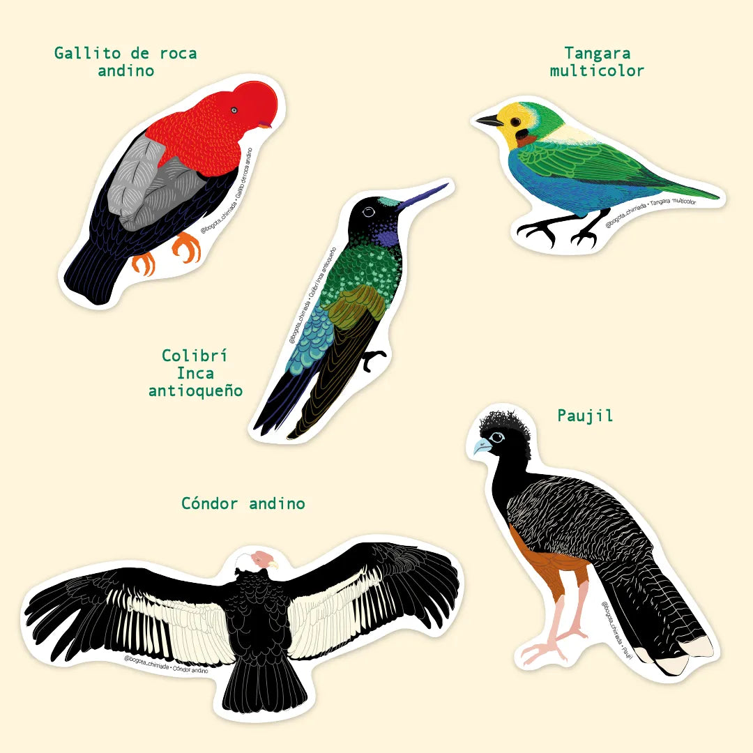 Combo de Cinco Stickers