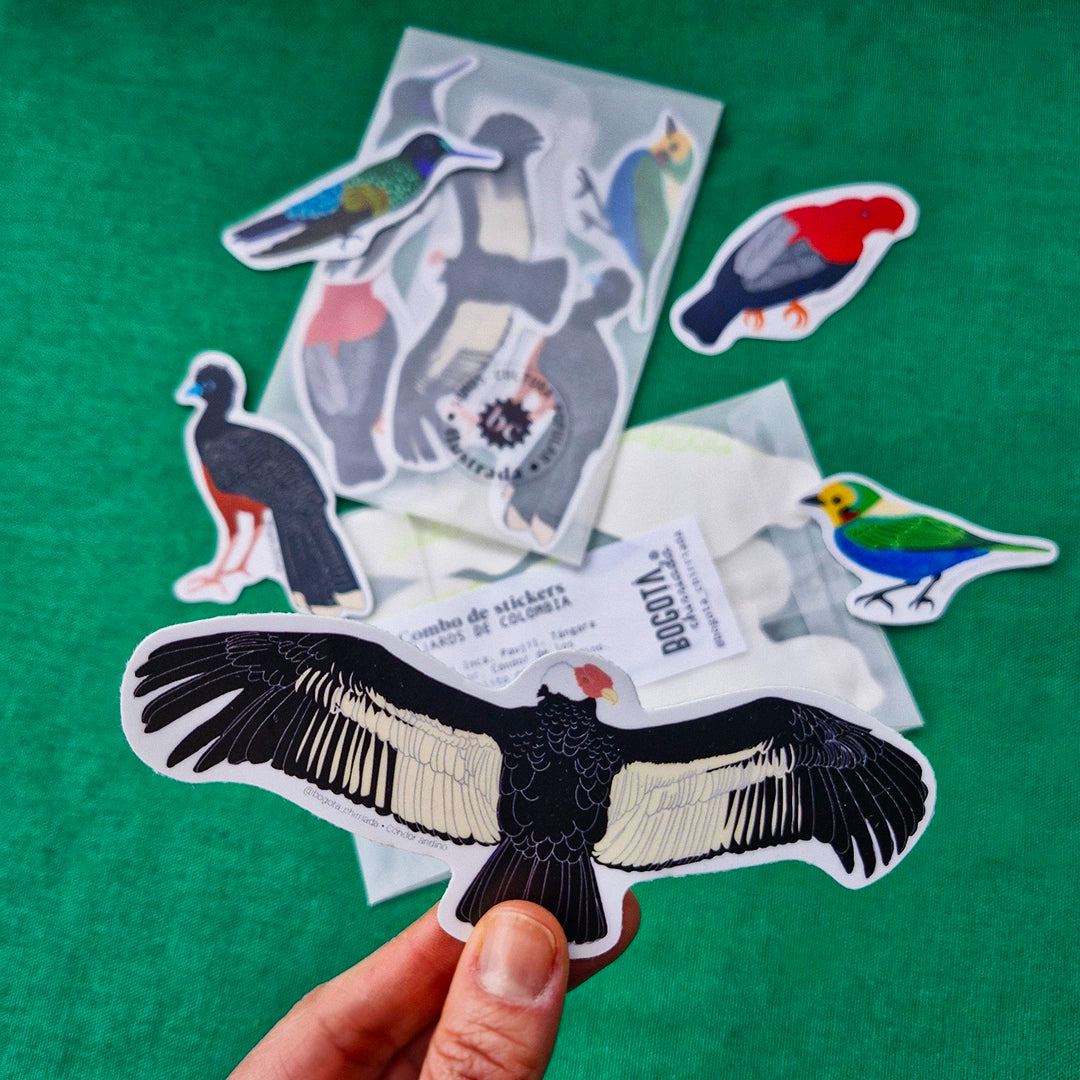 Paquete de Stickers de Pájaros