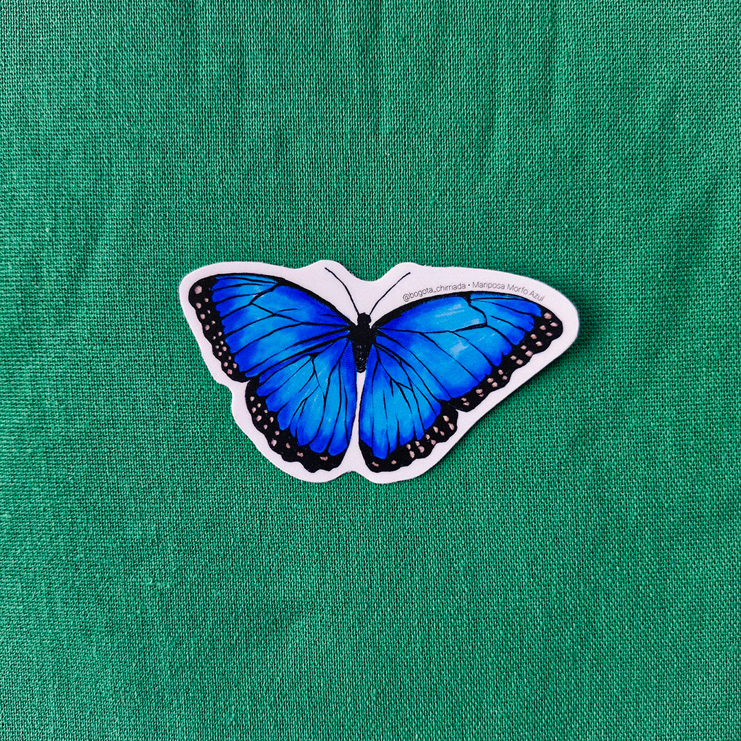 Sticker Mariposa Morfo Azul