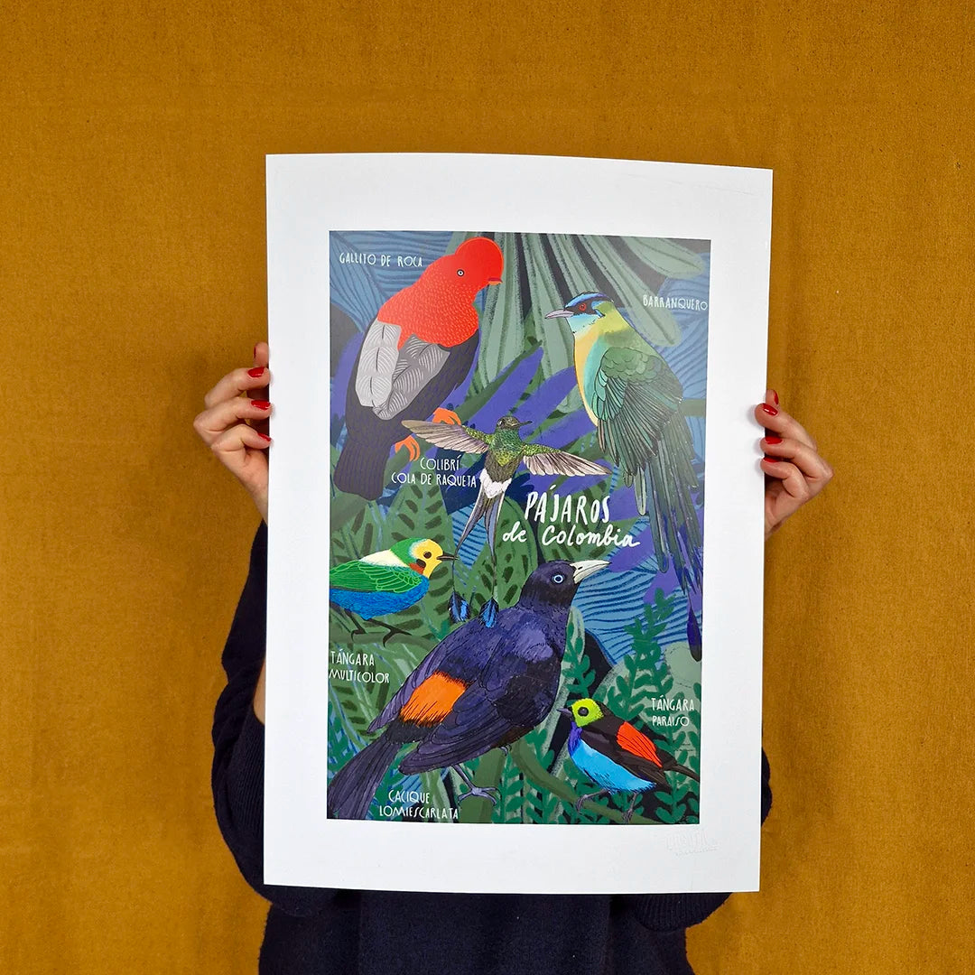 Afiche/Cuadro Pájaros de Colombia