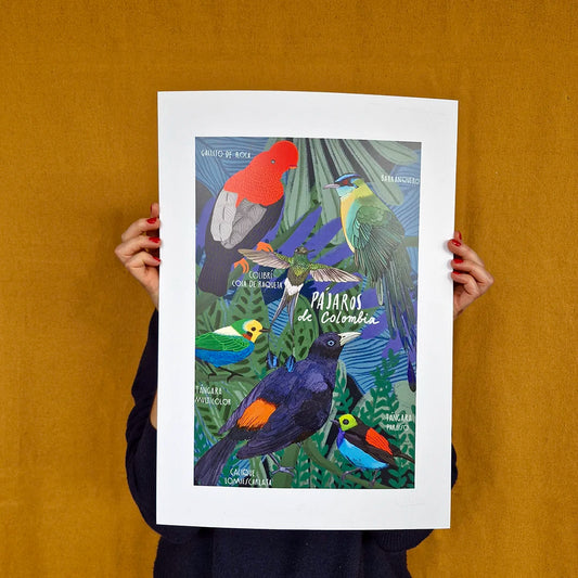 Afiche/Cuadro Pájaros de Colombia