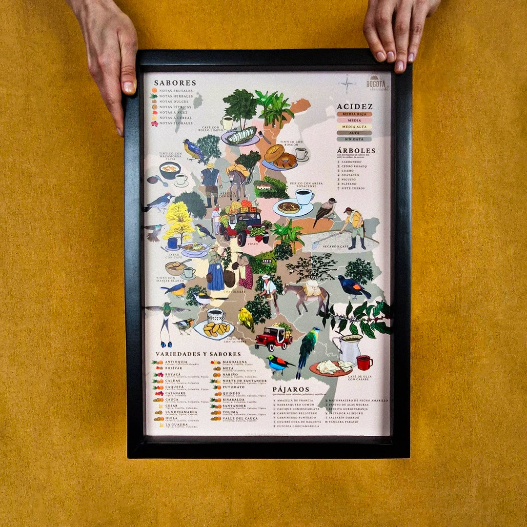 Afiche / Cuadro del Mapa de Colombia Cafetera