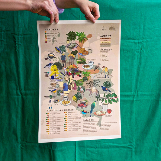 Afiche / Cuadro del Mapa de Colombia Cafetera