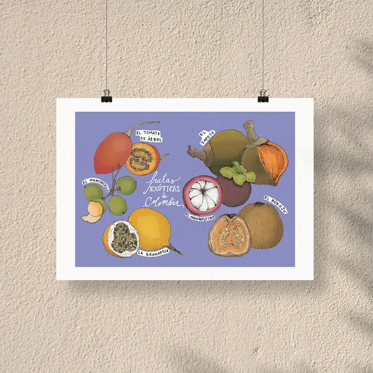 Afiche/Cuadro Frutas exóticas