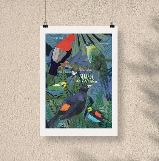 Afiche/Cuadro Pájaros de Colombia