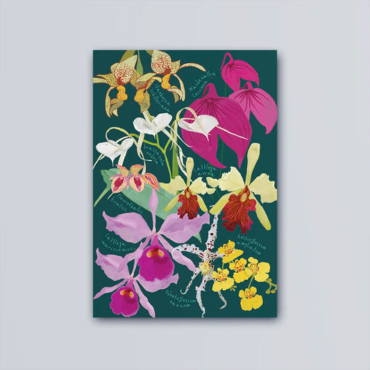 Postal Orquídeas de Colombia
