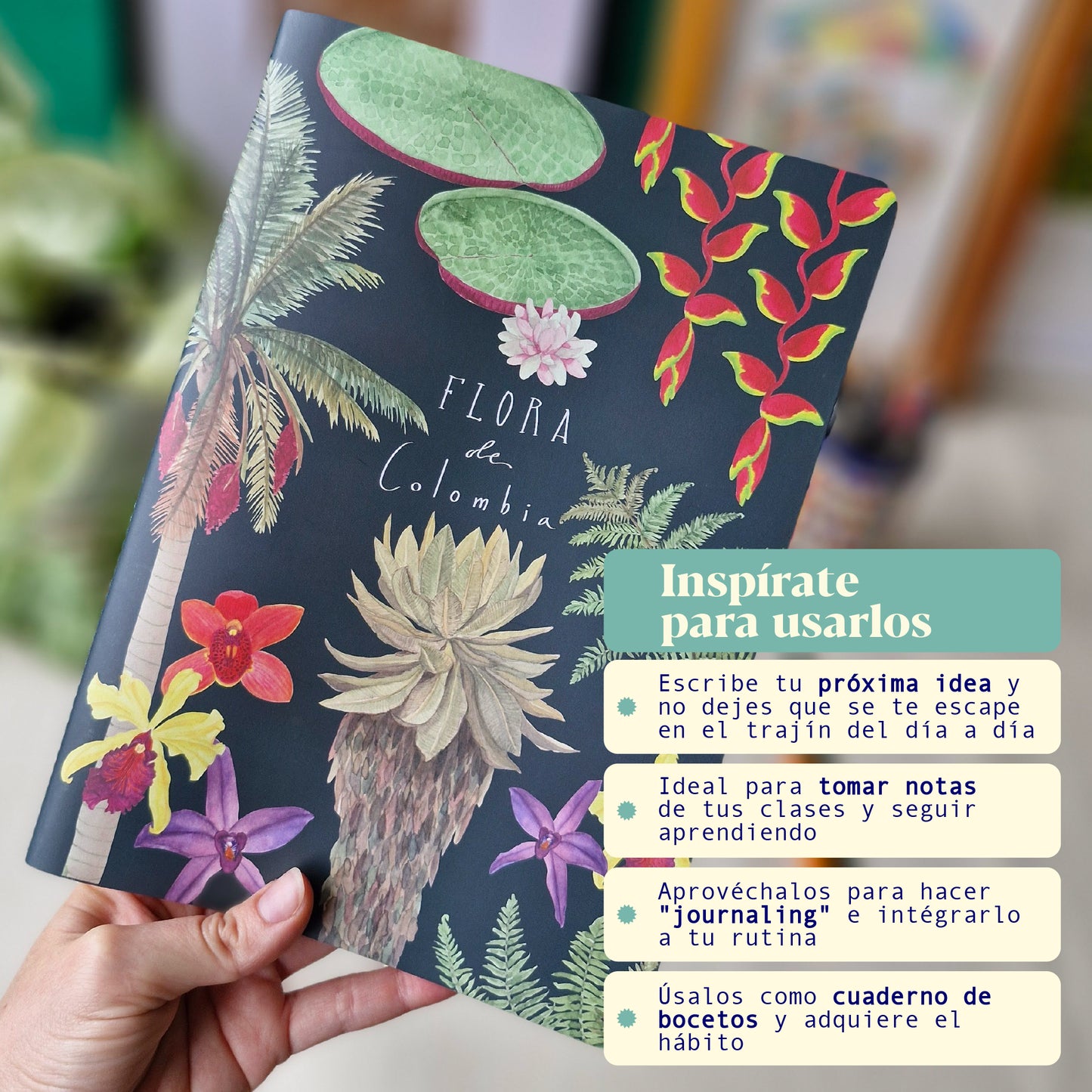 Dos cuadernos fauna y flora