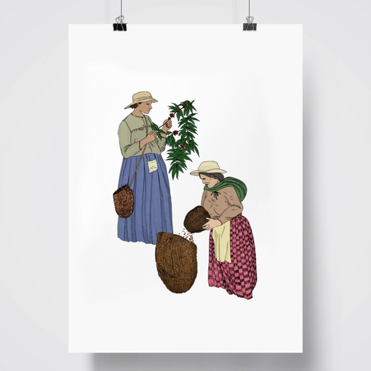 Afiche ilustrado de las chapoleras del café