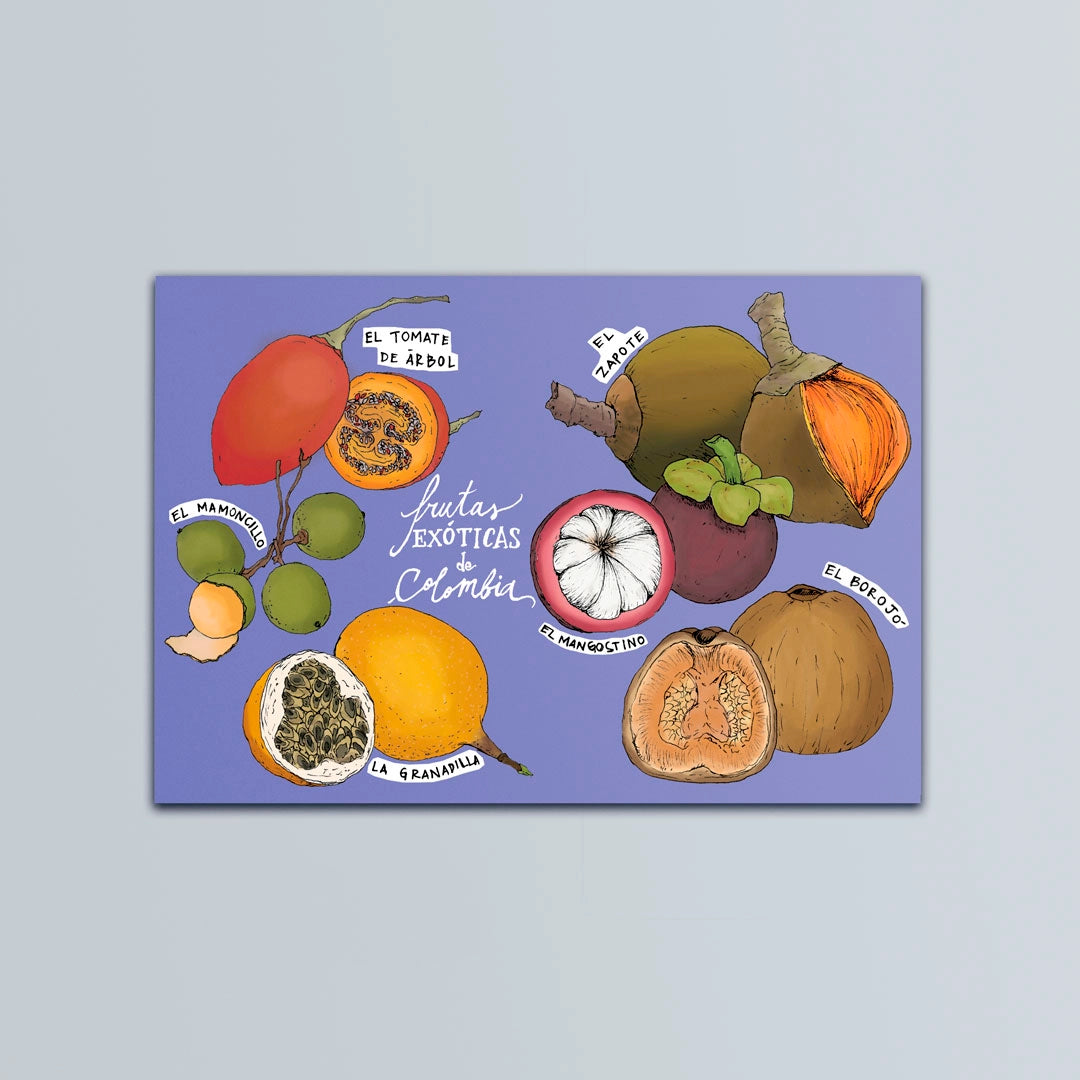Postal ilustrada de las frutas exóticas de Colombia