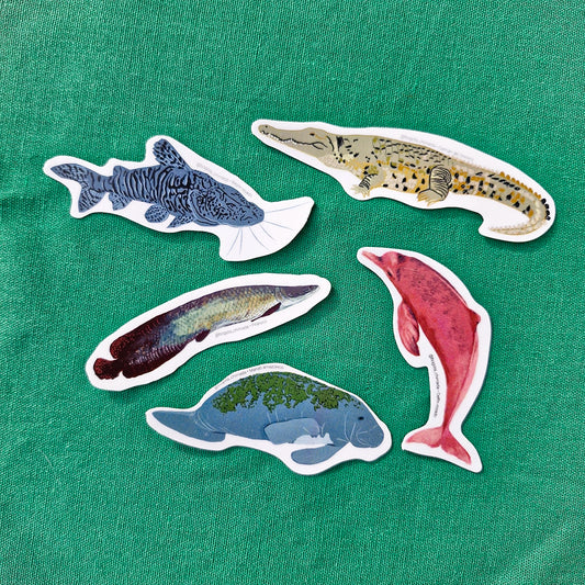 Paquete de Stickers Animales de Agua Dulce