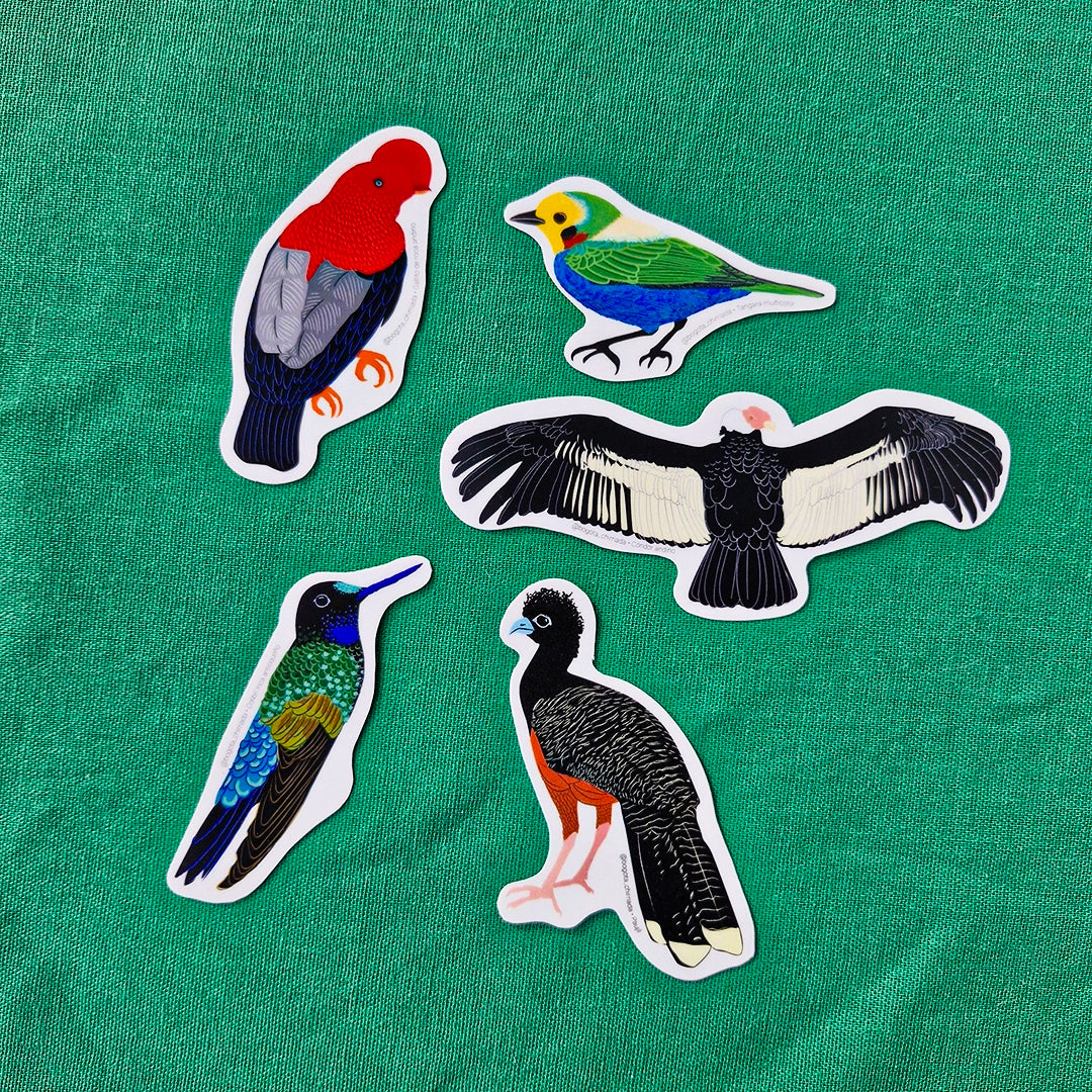 Paquete de Stickers de Pájaros