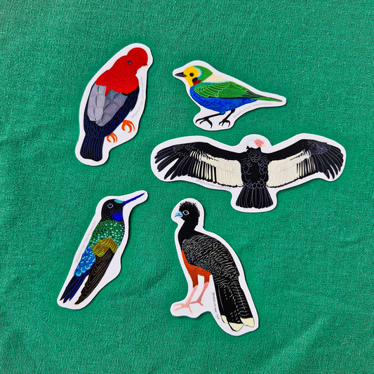 Paquete de Stickers de Pájaros
