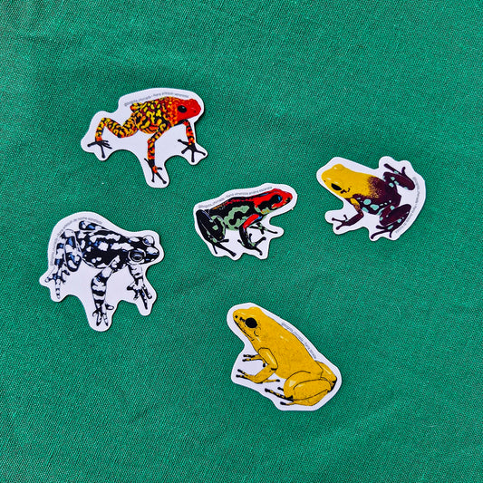 Paquete de Stickers de Ranas