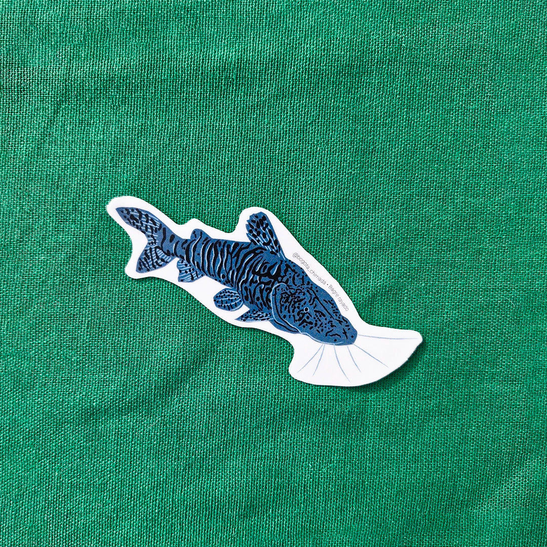 Paquete de Stickers Animales de Agua Dulce