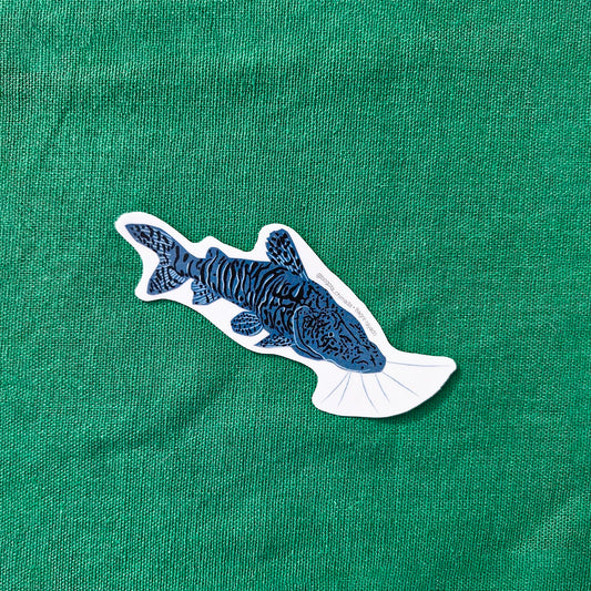 Sticker Bagre del Magdalena