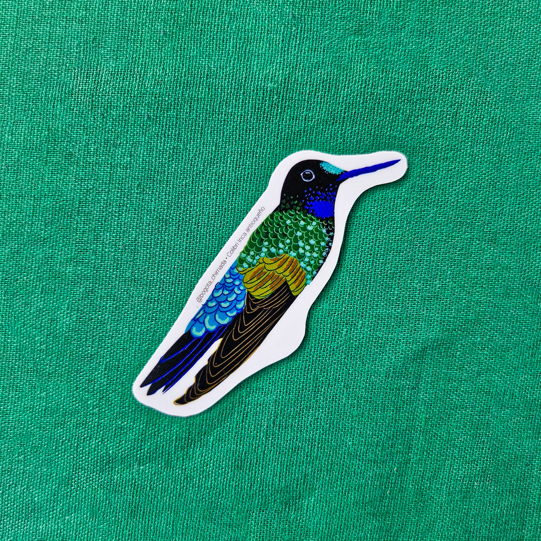 Paquete de Stickers de Pájaros