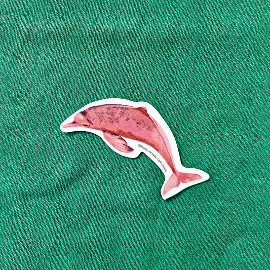 Sticker Delfín rosado