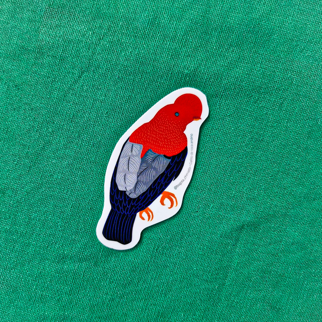 Paquete de Stickers de Pájaros