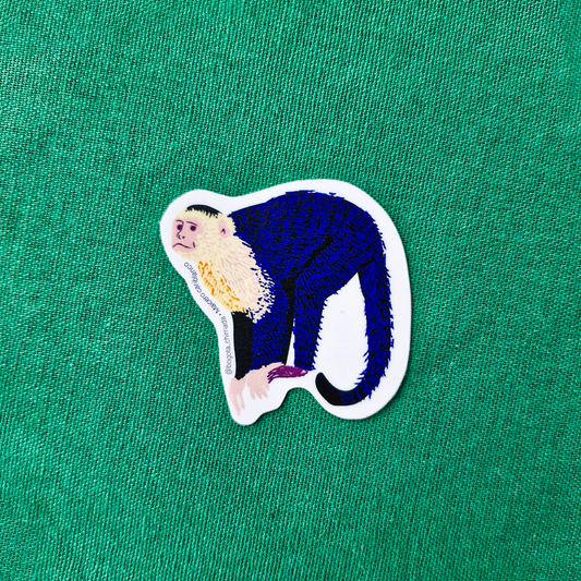 Sticker Mico Maicero Cariblanco