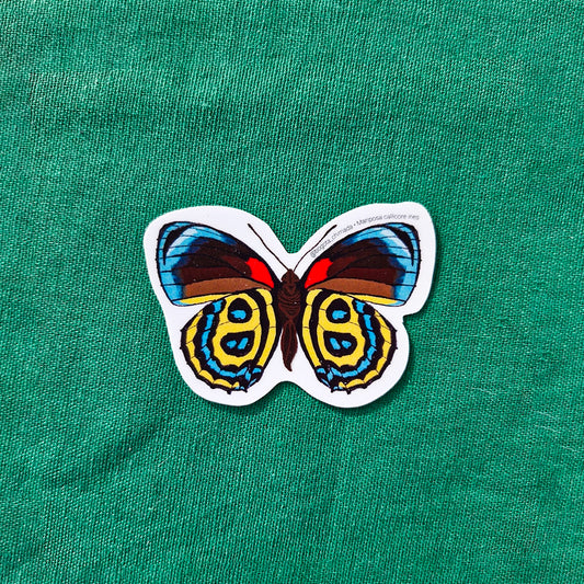 Sticker Mariposa Callicore ines