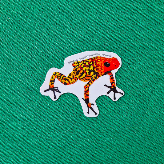 Sticker Rana Arlequín venenosa