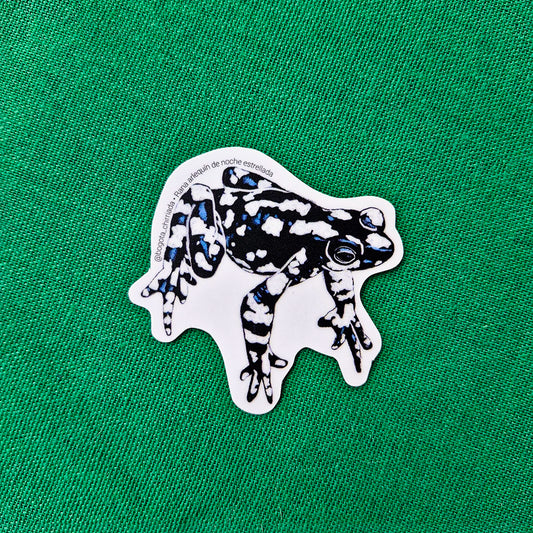 Sticker Rana Arlequín de la noche estrellada
