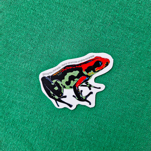 Sticker Rana venenosa Andina Escarlata