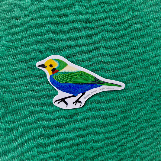 Sticker Tángara Multicolor