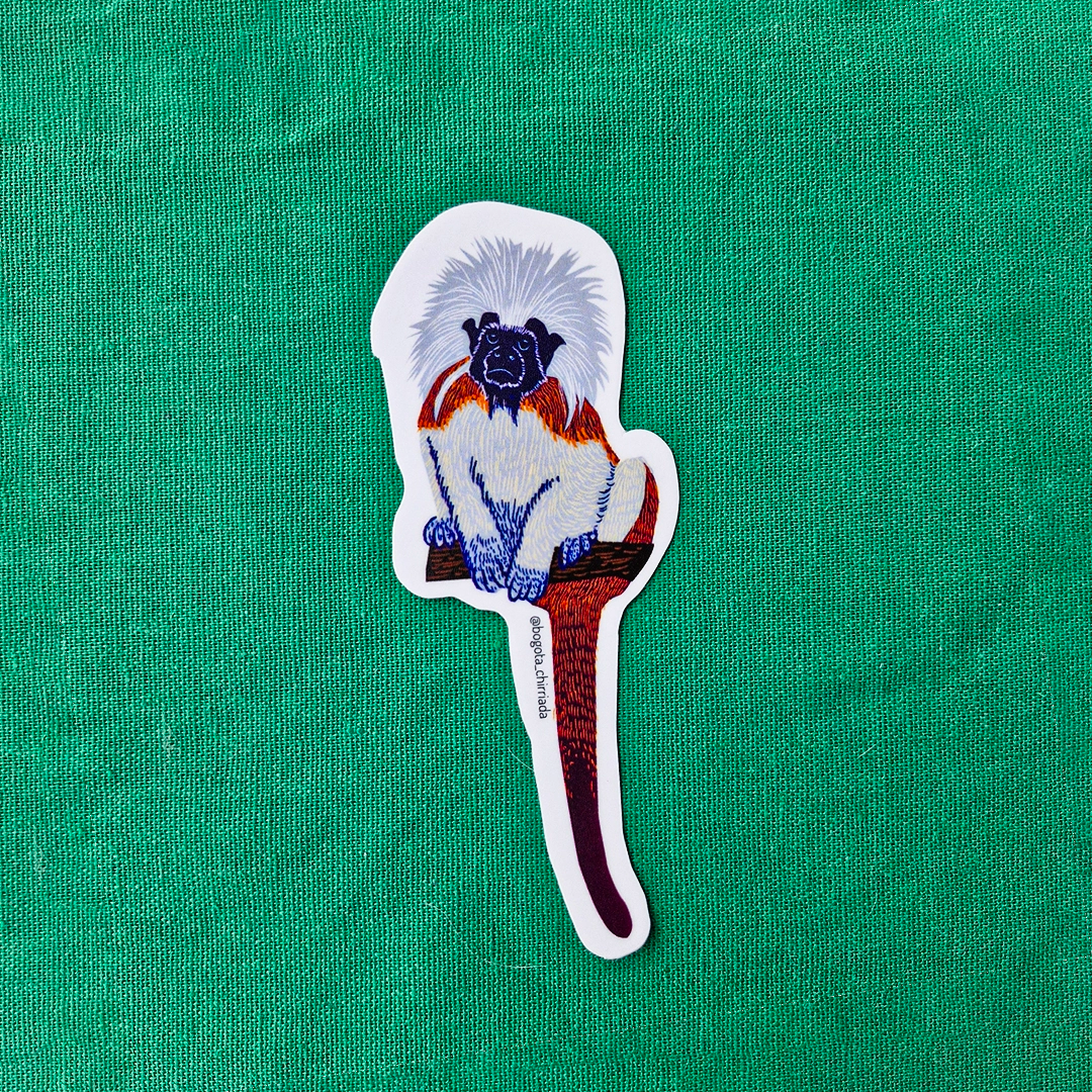 Sticker Tití Cabeciblanco